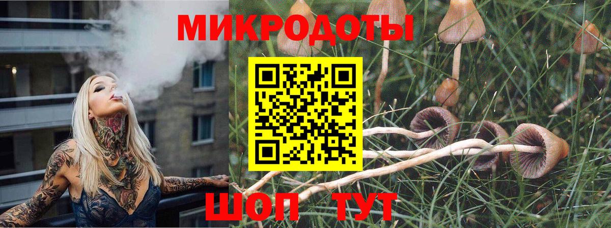 Псилоцибиновые грибы ЛСД  закладка  Нижний Новгород  Вход с VPN  Псилоцибиновые грибы Magic Shrooms 